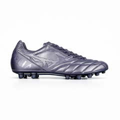 Morelia Proto Japan Ltd