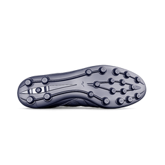 Morelia Proto Japan Ltd
