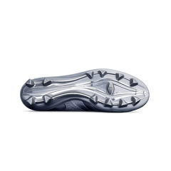 Morelia Neo IV Beta Japan Ltd