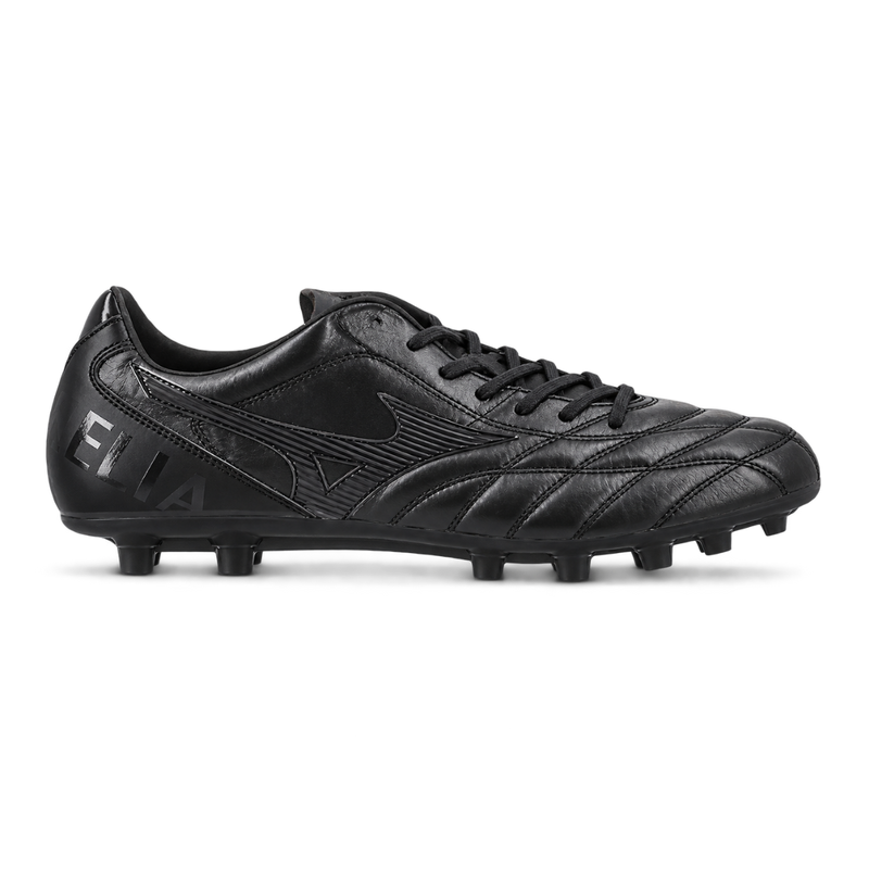 Morelia Proto Japan Ltd