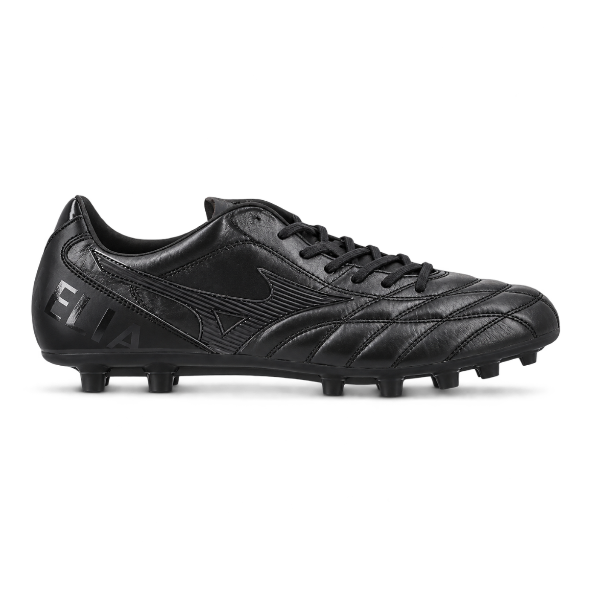 Morelia Proto Japan Ltd