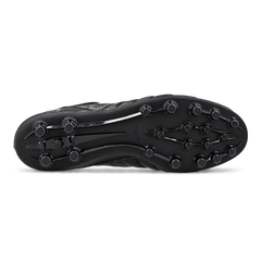 Morelia Proto Japan Ltd