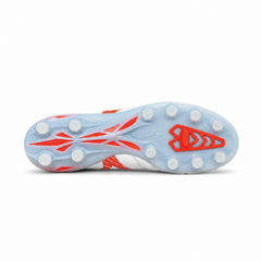 Morelia Neo V Japan