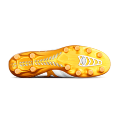 Morelia Neo IV Japan