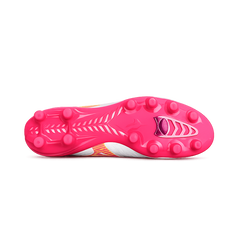 Morelia Neo IV Beta Japan