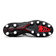 Morelia Neo IV Japan