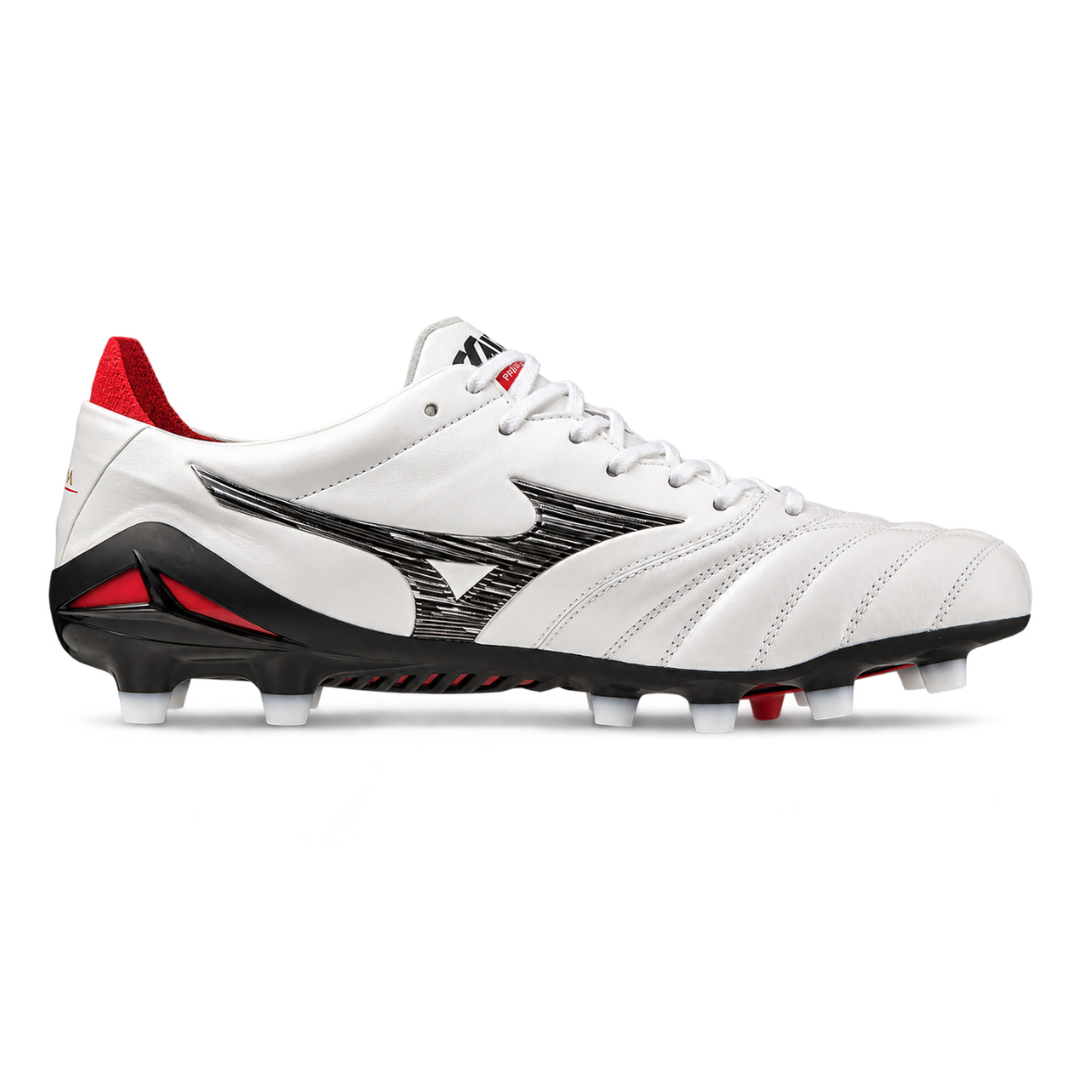 Morelia Neo IV Japan