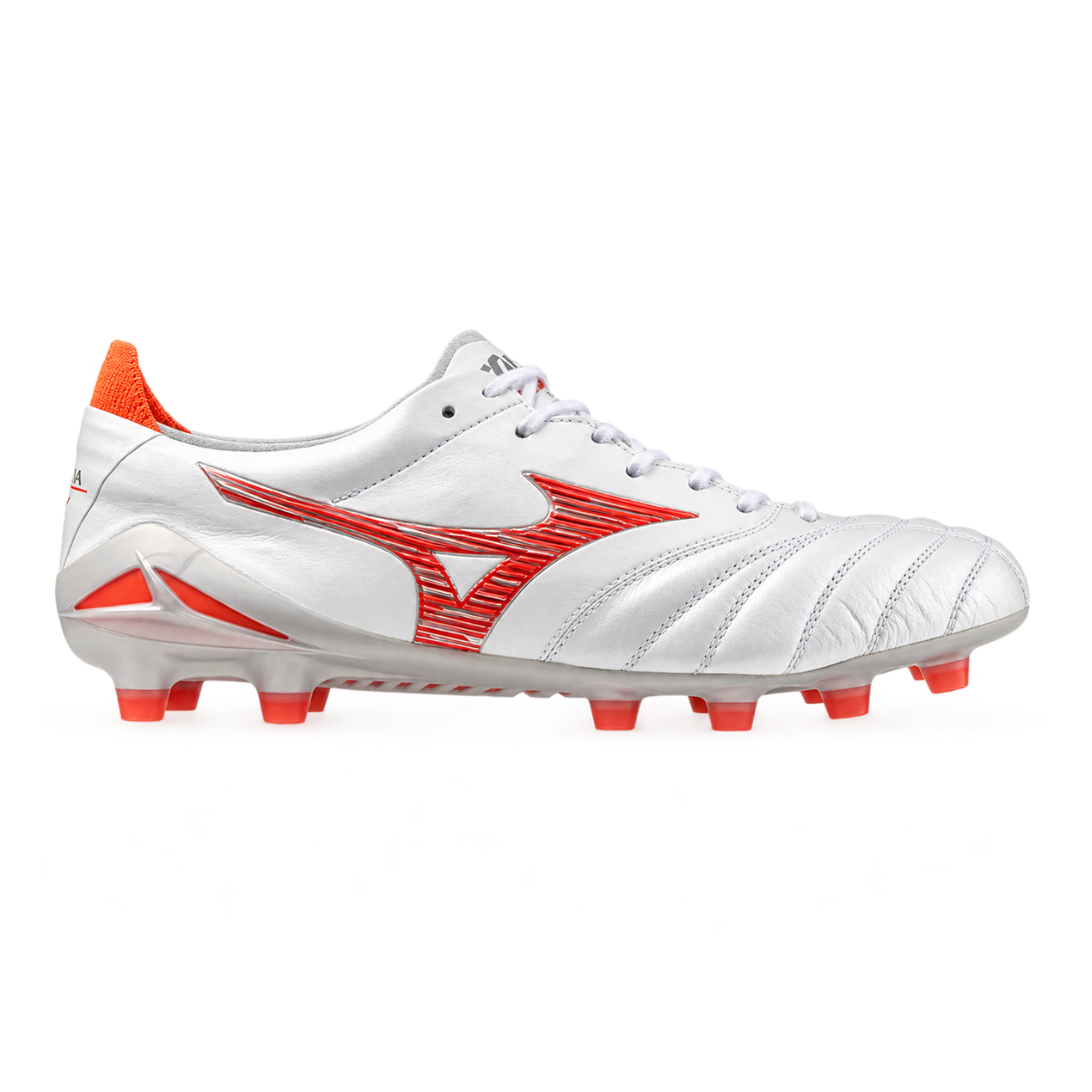 Morelia Neo IV Japan