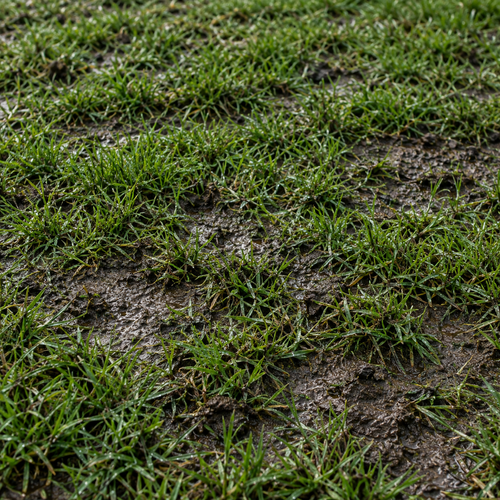 Soft ground (SG)